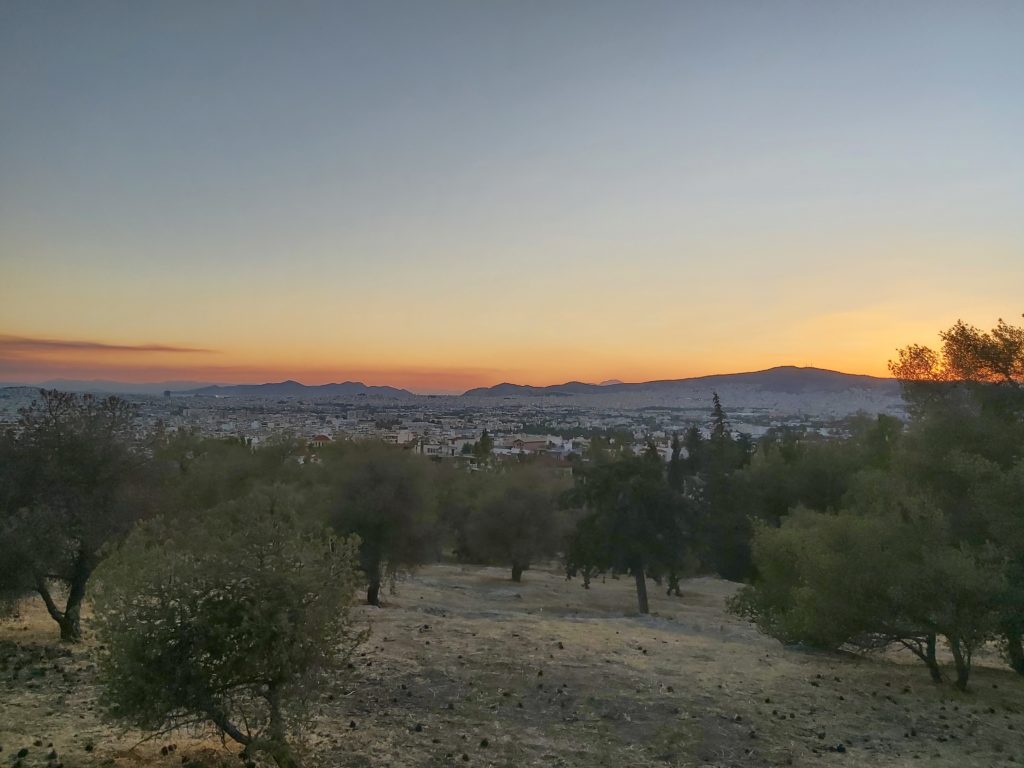 A photograph of Athens at dusk - rows of olive trees in the dusty ground, violet mountains in the background, with a golden sunset and pale blue sky above.