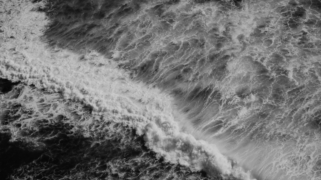 A black and white nature photograph of the ocean