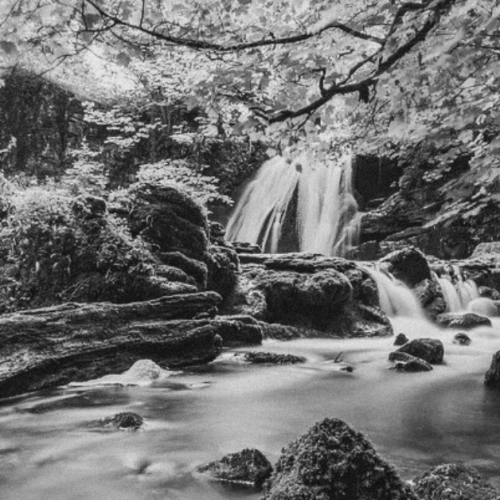 A black and white image of nature. A wooded area, a waterfall and stream.